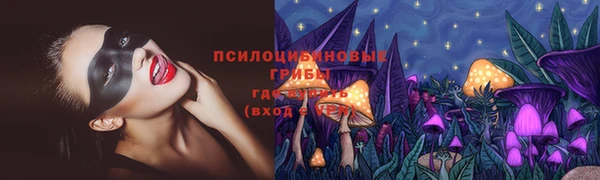 мет Алексин