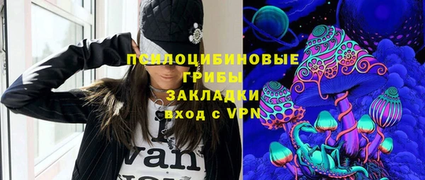 мет Алексин
