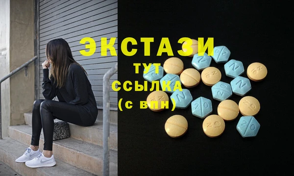 мет Алексин