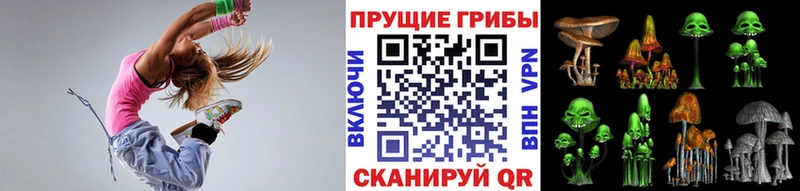 купить наркоту  Бавлы  Псилоцибиновые грибы мицелий 